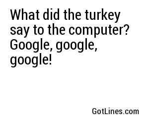 What did the turkey say to the computer? 'Google, google, google!'